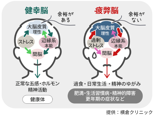 健幸脳・疲弊脳