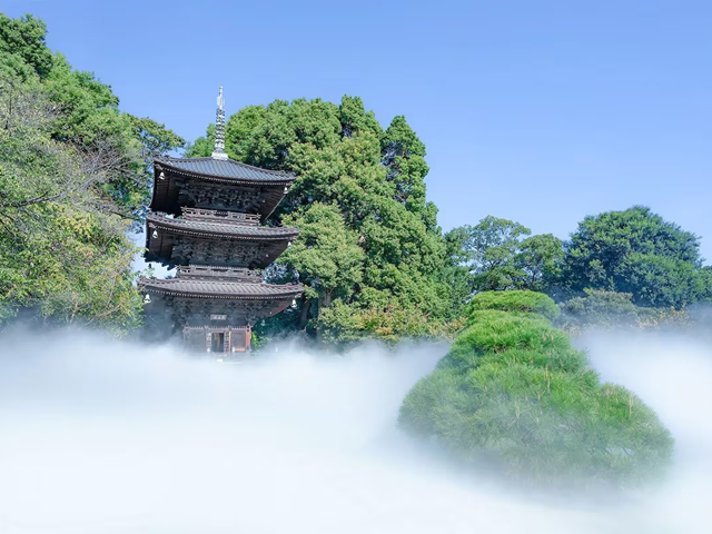 ホテルズドットコム