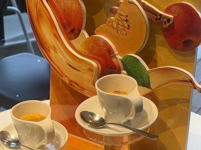 DRAWING HOUSE OF HIBIYA