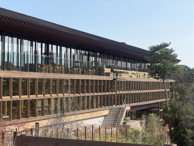 True Beauty×ZEN Stay