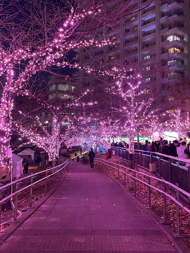 桜色のイルミネーション