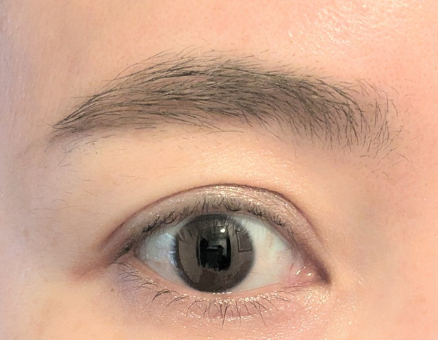 セザンヌ 極細アイブロウマスカラ＆アイブロウ＆シェードパウダー 眉メイク仕上がり