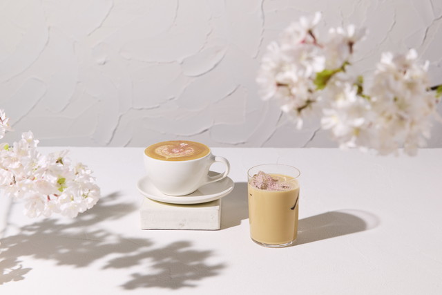 チェリーブロッサムラテ ホット＆アイス
