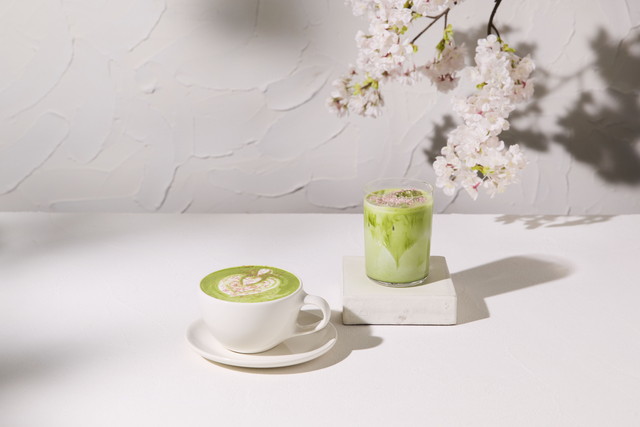 抹茶チェリーブロッサムラテ ホット＆アイス