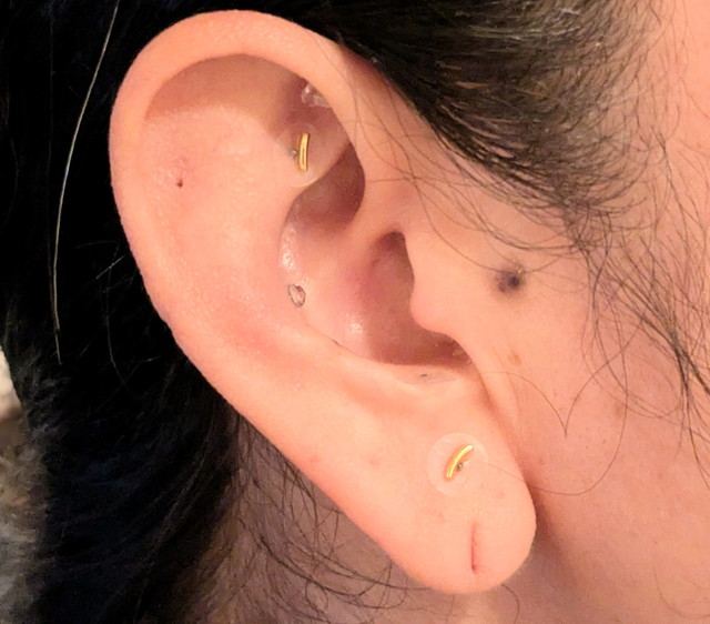 ミミミ ジュエリーシール 耳への着用イメージ