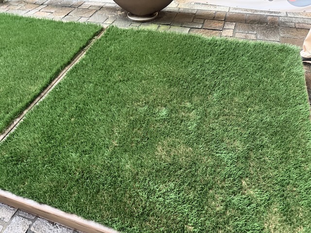 雨水を循環させる人工芝を写した写真
