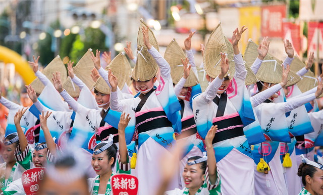 阿波おどりの踊り手たちを写した写真