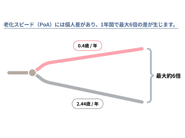 あんしん漢方2