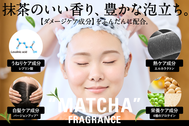 京美人4